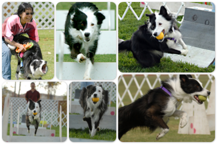 Vegas<br /><br /> Collage