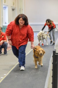 99bab831-41a4-407e-a46f-c6b1593e96ad